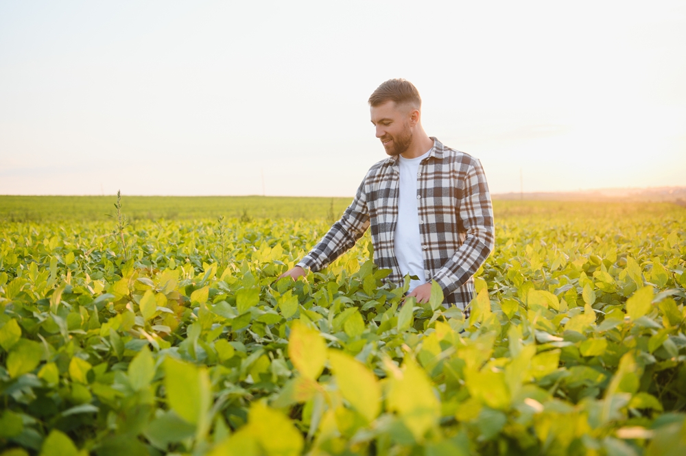 Fidelização e Sustentabilidade: Orbia anuncia parceria com Agrigolden, empresa que incentiva iniciativas socioambientais no agro