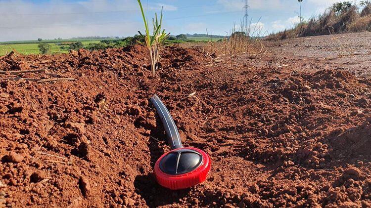 Irrigação por gotejamento pode dobrar a produção do canavial