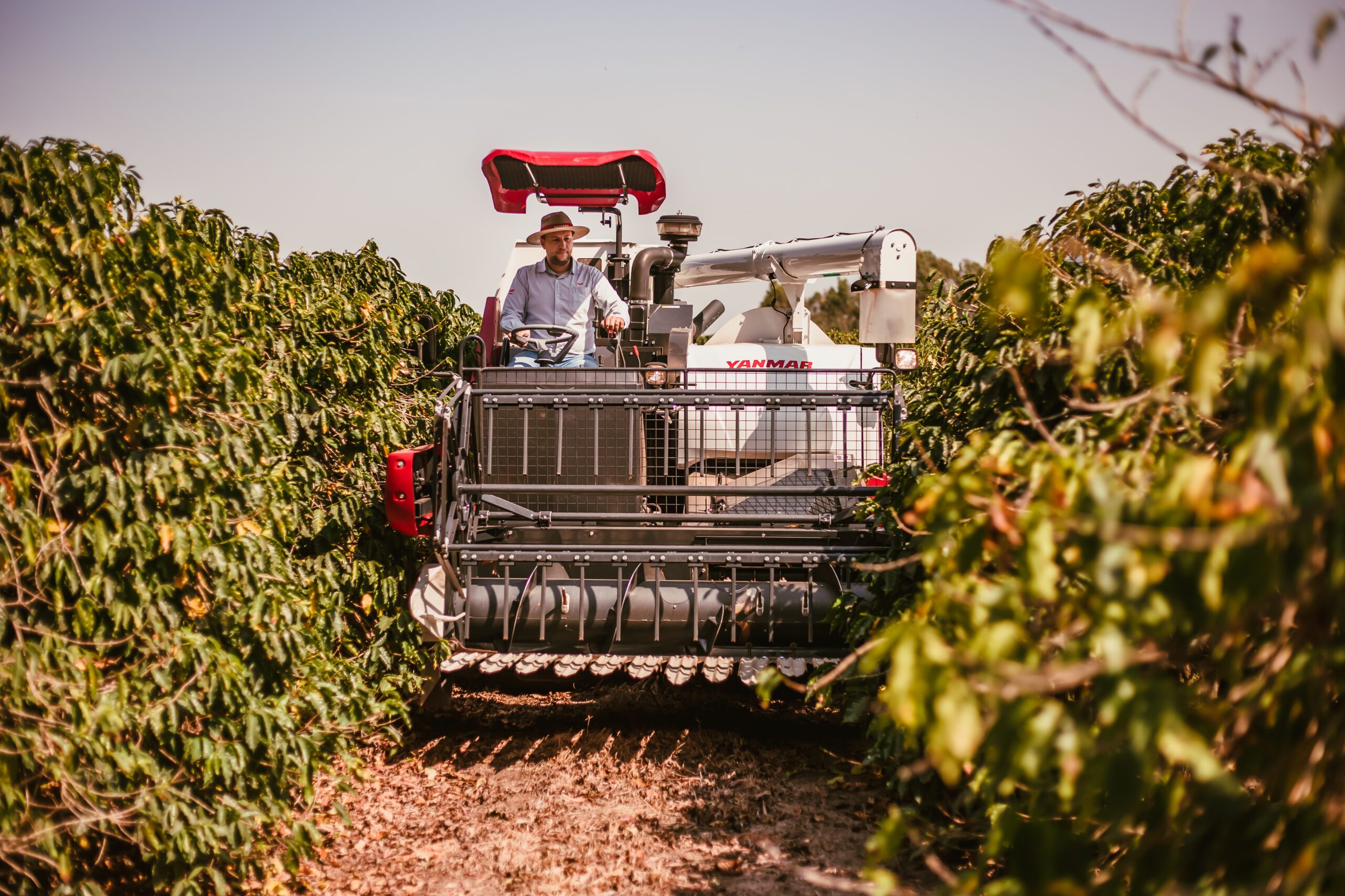 Tratores agrícolas nacionalizados são os destaques da YANMAR para a Expointer 2024