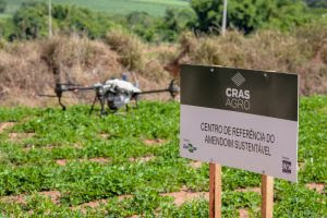 CRAS Agro dá inicio ao ciclo 2024/2025 do amendoim