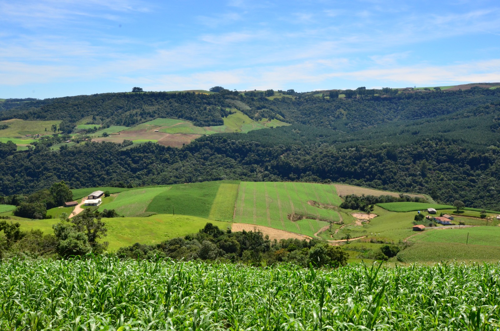 Governo do Estado envia projeto do SC Rural 2 para  Assembleia Legislativa